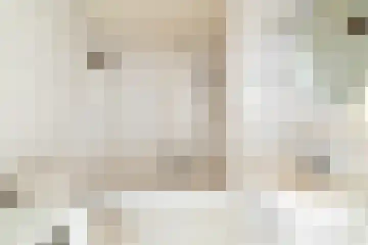Pinksterbloem 8 Rotterdam thumbnail 38