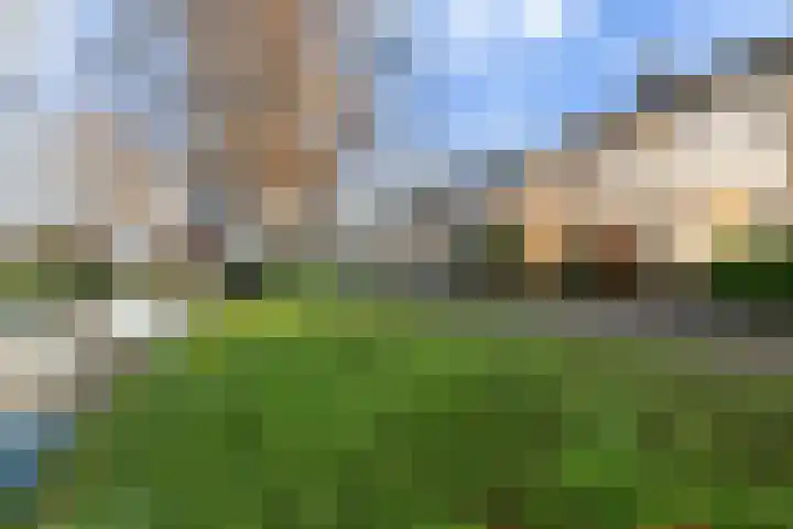 Pinksterbloem 8 Rotterdam thumbnail 46