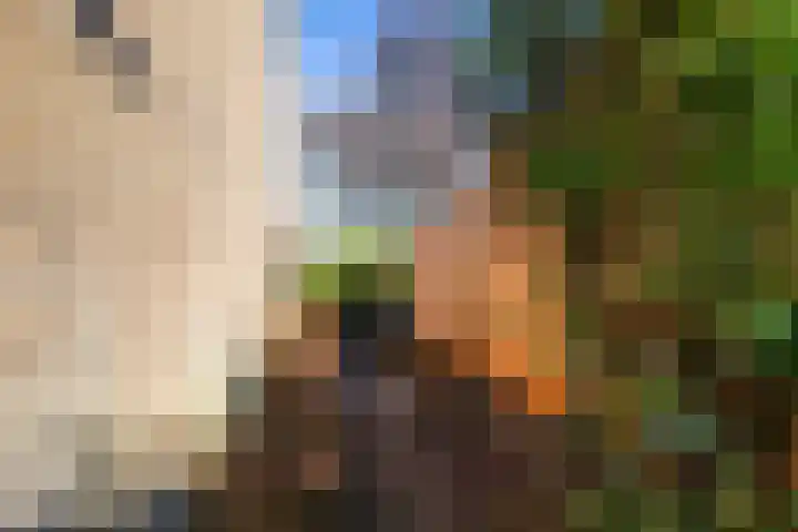 Pinksterbloem 8 Rotterdam thumbnail 47