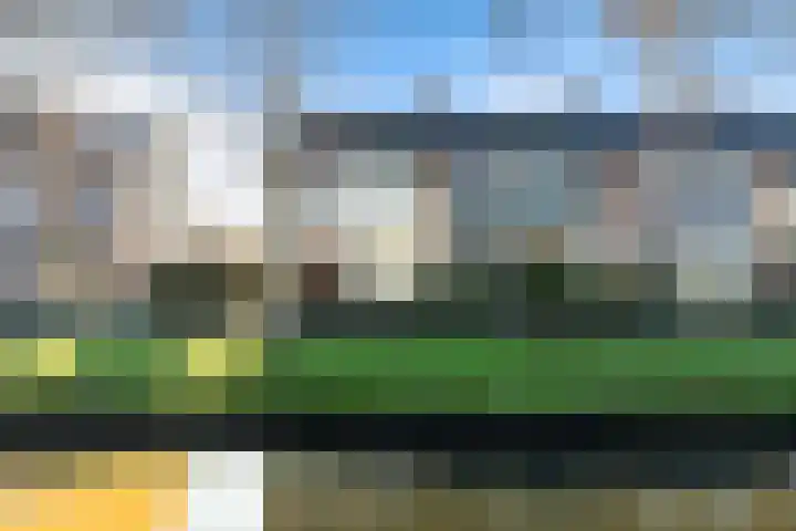 Pinksterbloem 8 Rotterdam thumbnail 5