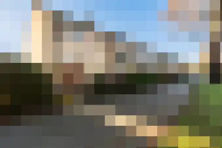 Pinksterbloem 8 Rotterdam thumbnail 7