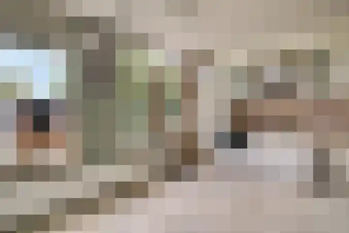 Pinksterbloem 9 Zwaag thumbnail 10