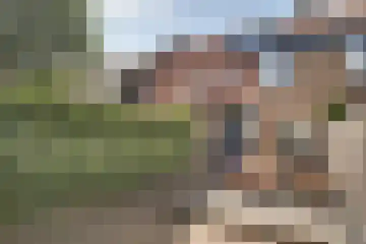 Pinksterbloem 9 Zwaag thumbnail 12