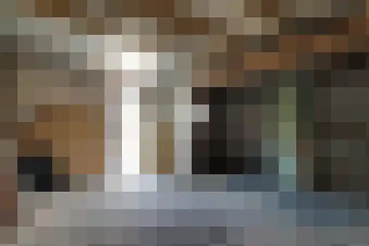 Pinksterbloem 9 Zwaag thumbnail 16