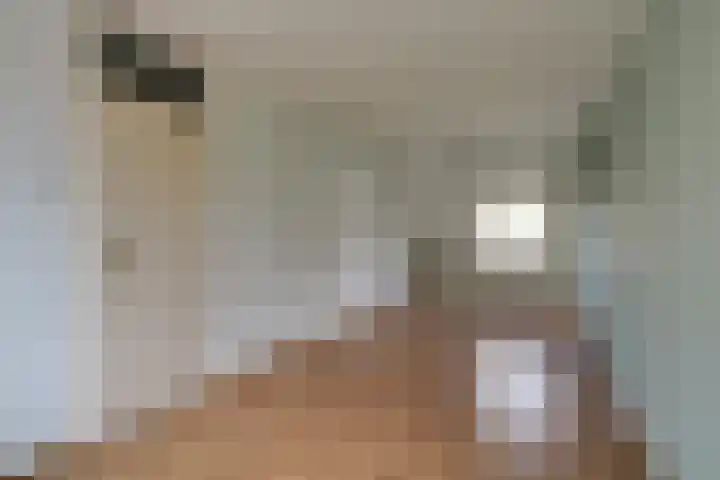 Pinksterbloem 9 Zwaag thumbnail 20