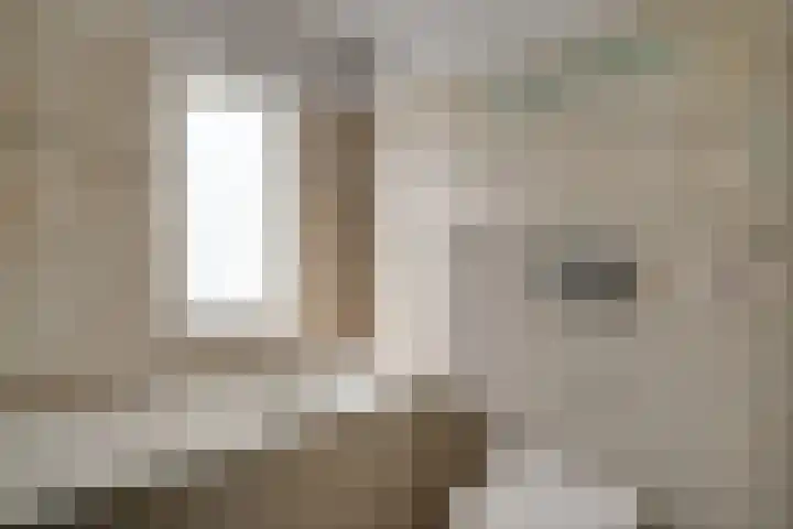 Pinksterbloem 9 Zwaag thumbnail 22