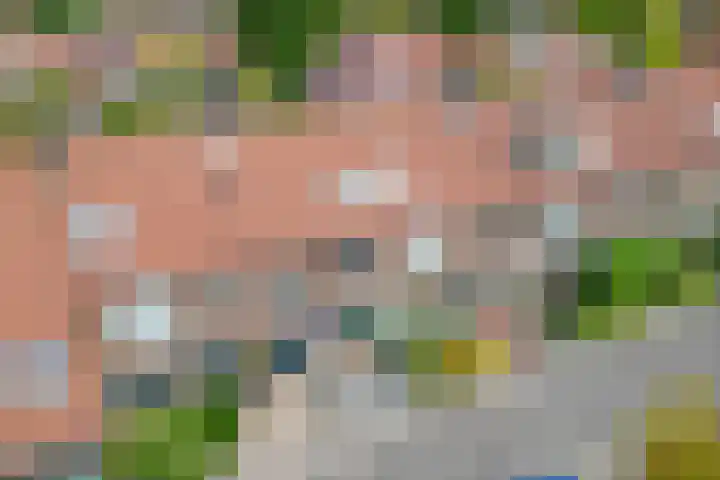 Pinksterbloem 9 Zwaag thumbnail 32