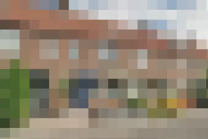 Pinksterbloem 9 Zwaag thumbnail 33