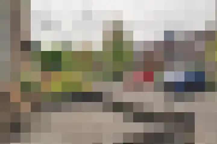 Pinksterbloem 9 Zwaag thumbnail 34