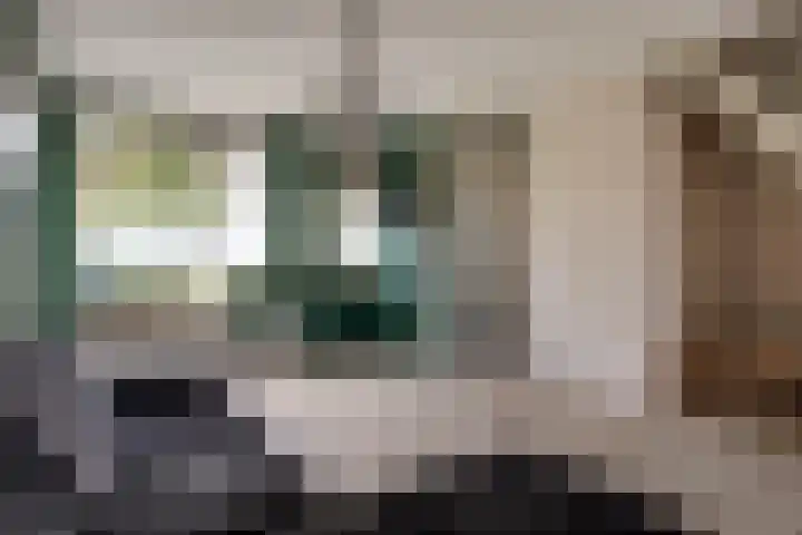 Pinksterbloem 9 Zwaag thumbnail 4