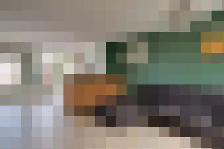 Pinksterbloem 9 Zwaag thumbnail 6