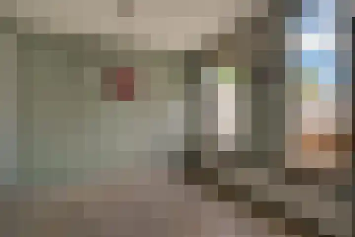 Pinksterbloem 9 Zwaag thumbnail 8