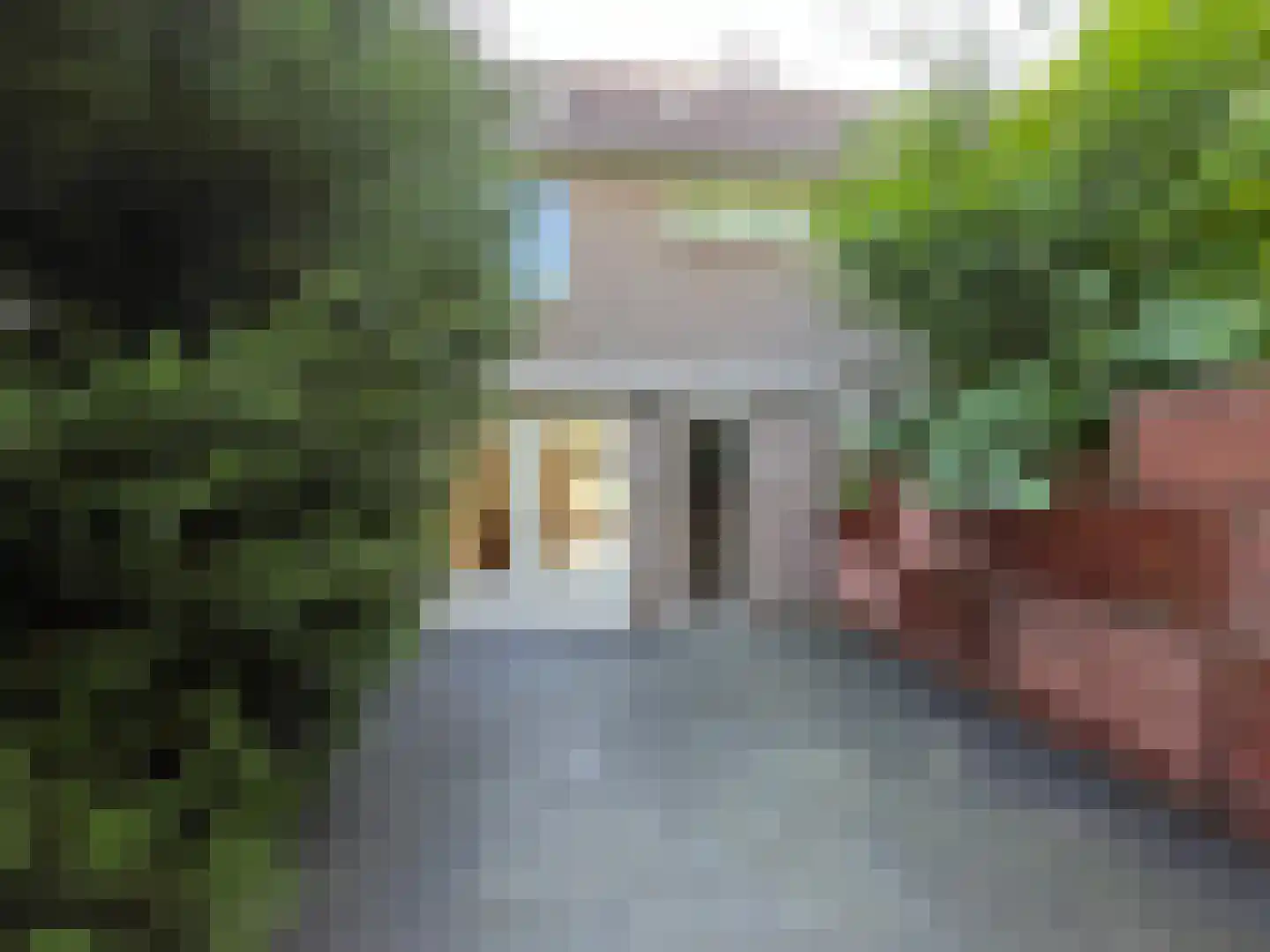 Pinksterbloem 90 Purmerend thumbnail 24