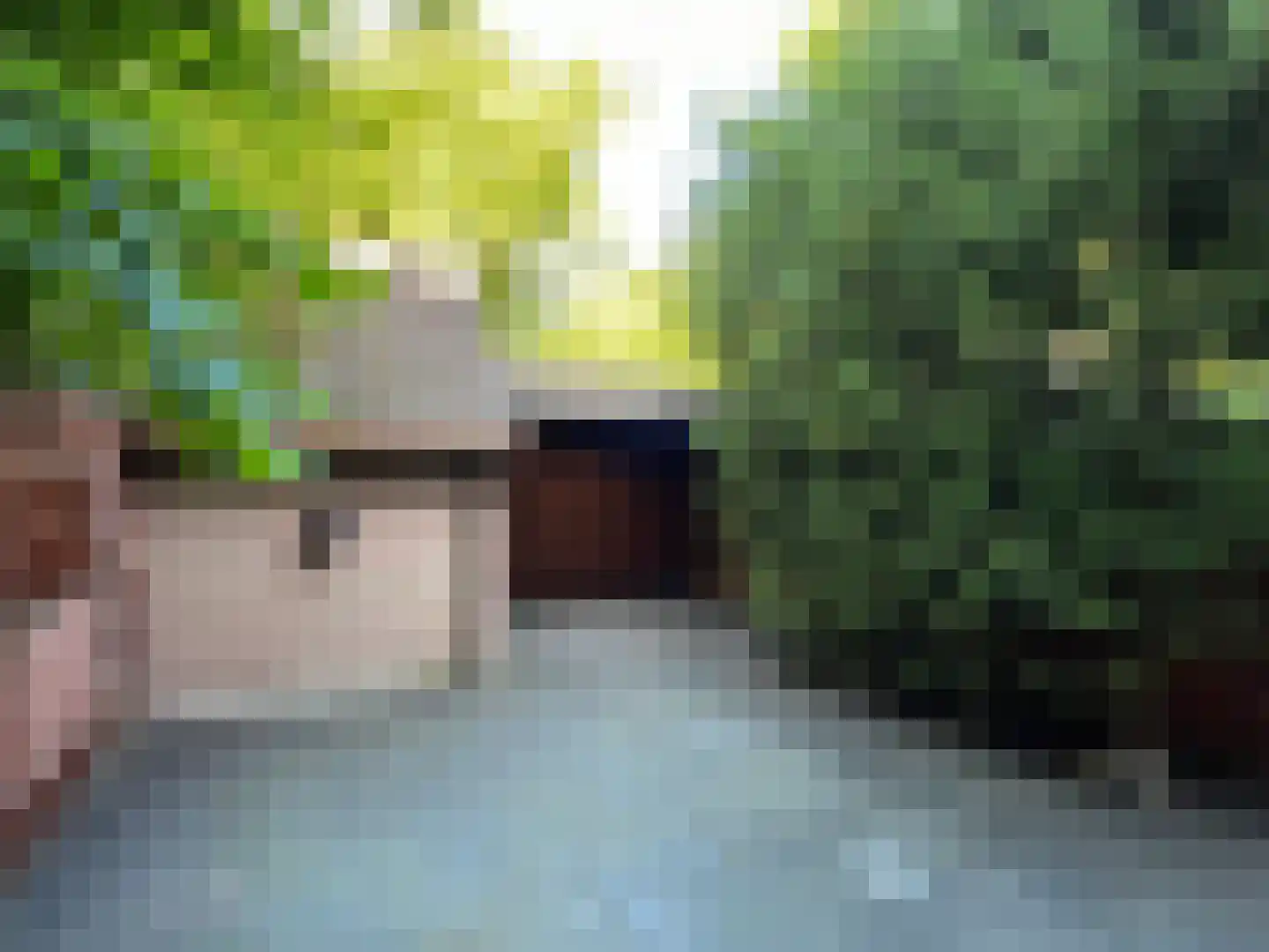 Pinksterbloem 90 Purmerend thumbnail 25
