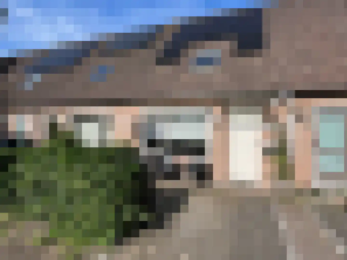 Pinksterbloem 90 Purmerend thumbnail 29