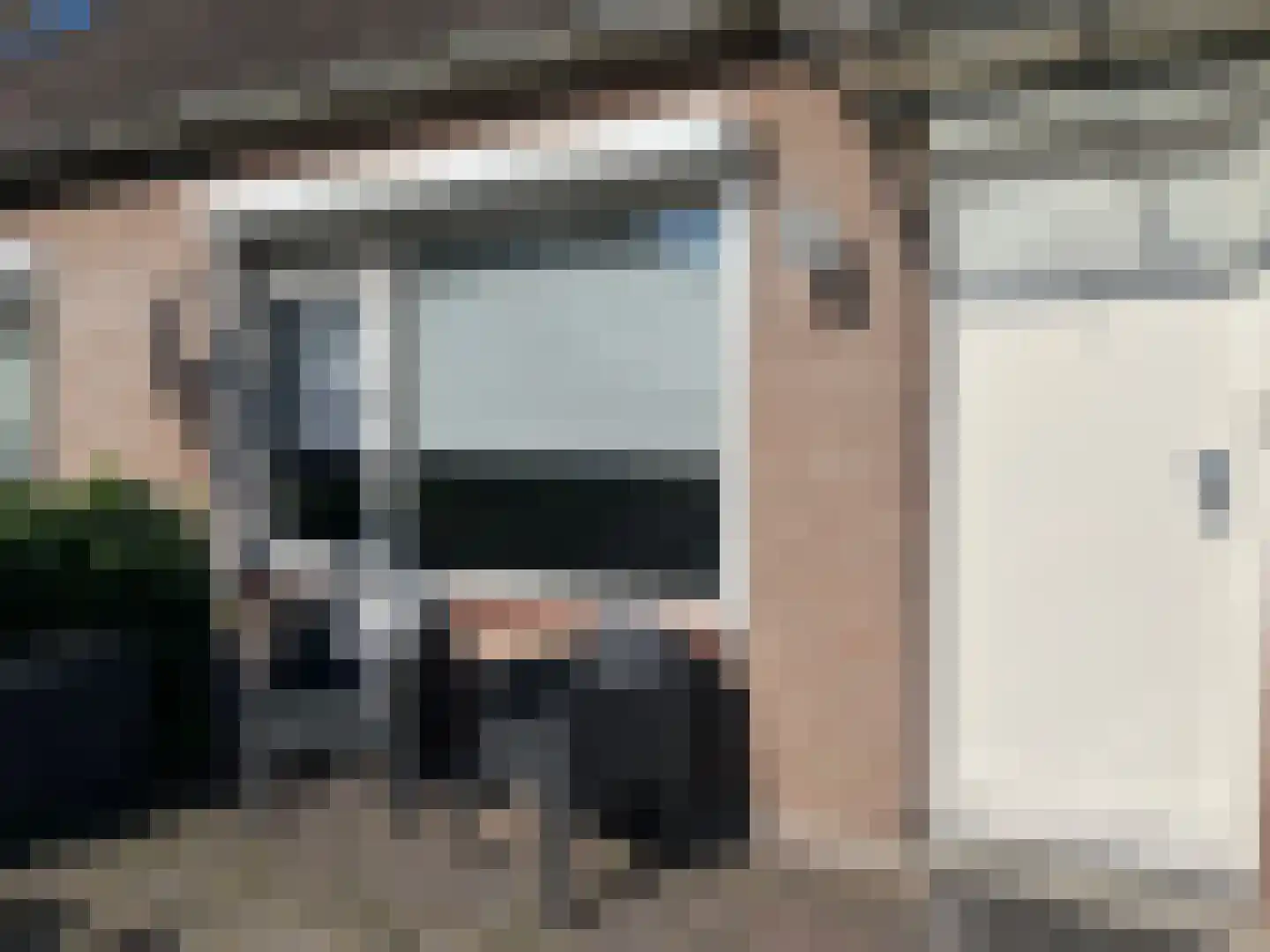 Pinksterbloem 90 Purmerend thumbnail 31