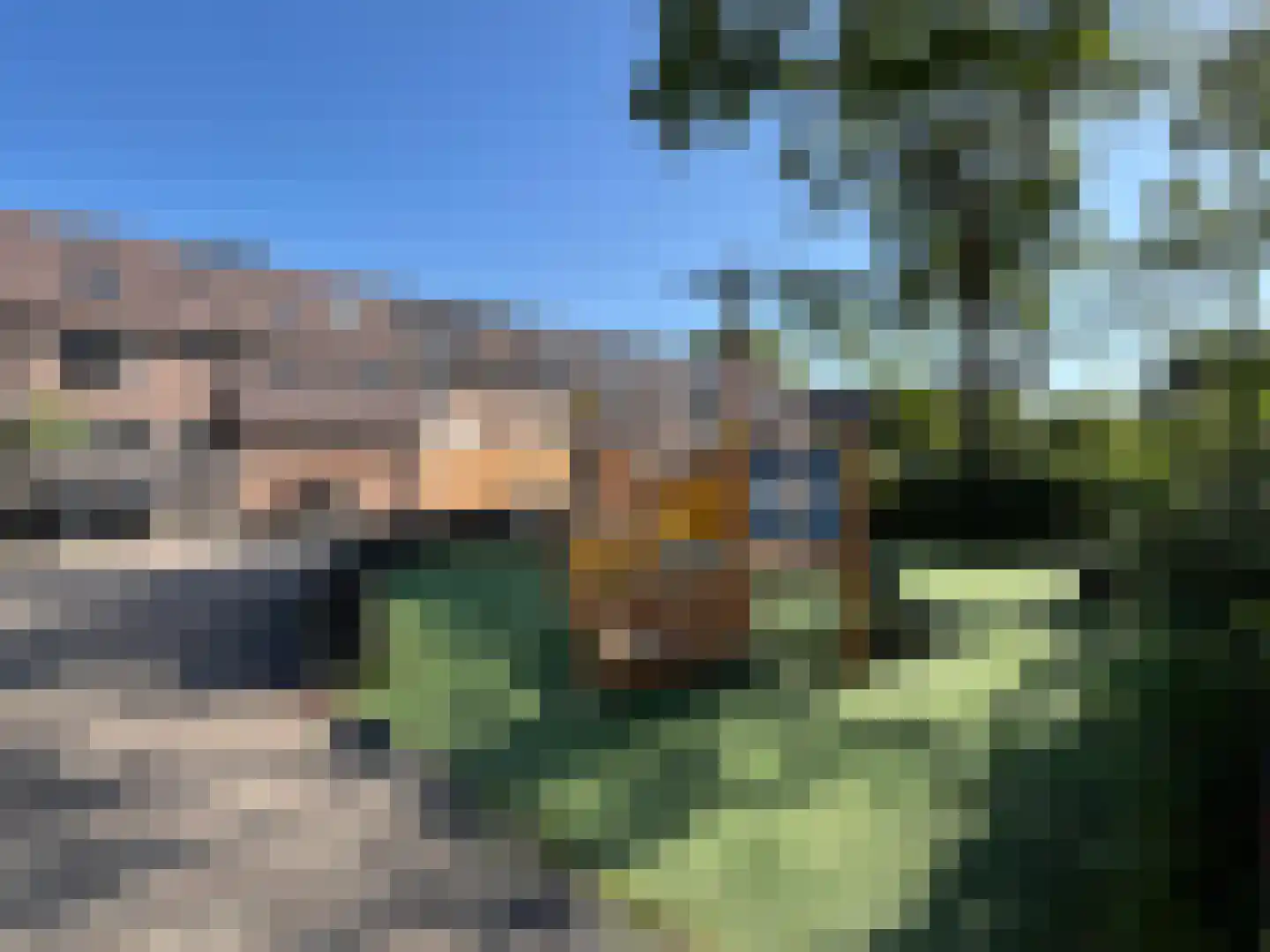 Pinksterbloem 90 Purmerend thumbnail 32
