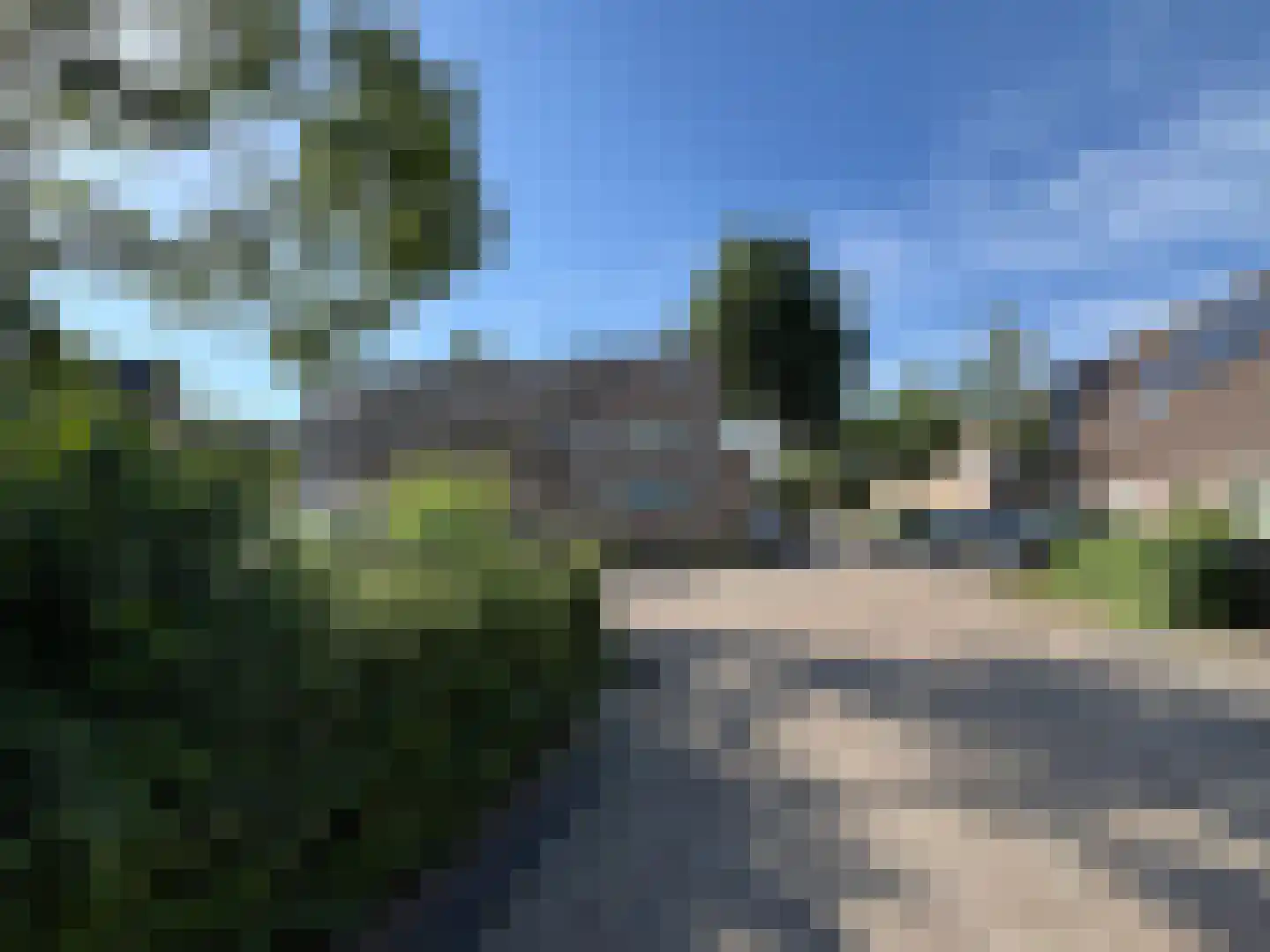 Pinksterbloem 90 Purmerend thumbnail 33