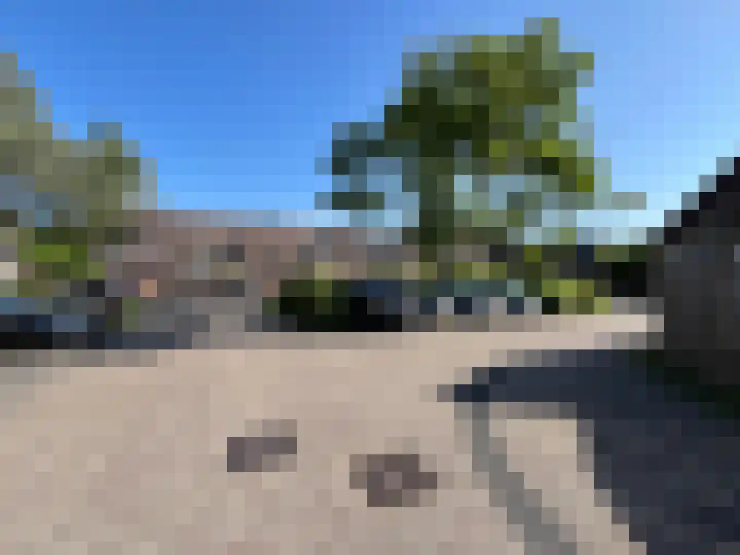 Pinksterbloem 90 Purmerend thumbnail 34