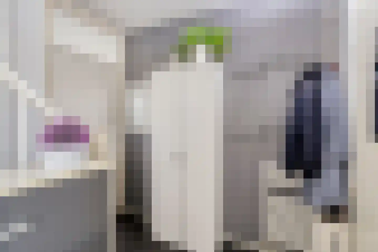 Pinksterbloem 96 Roden thumbnail 10