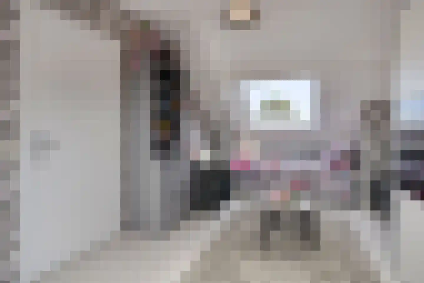Pinksterbloem 96 Roden thumbnail 51