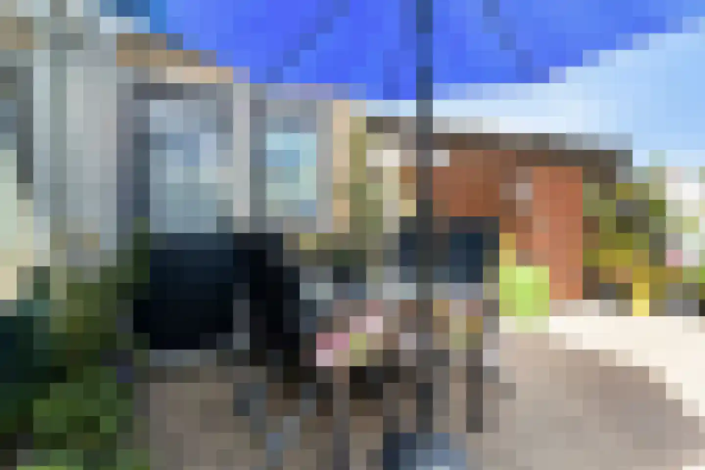 Pinksterbloem 96 Roden thumbnail 52