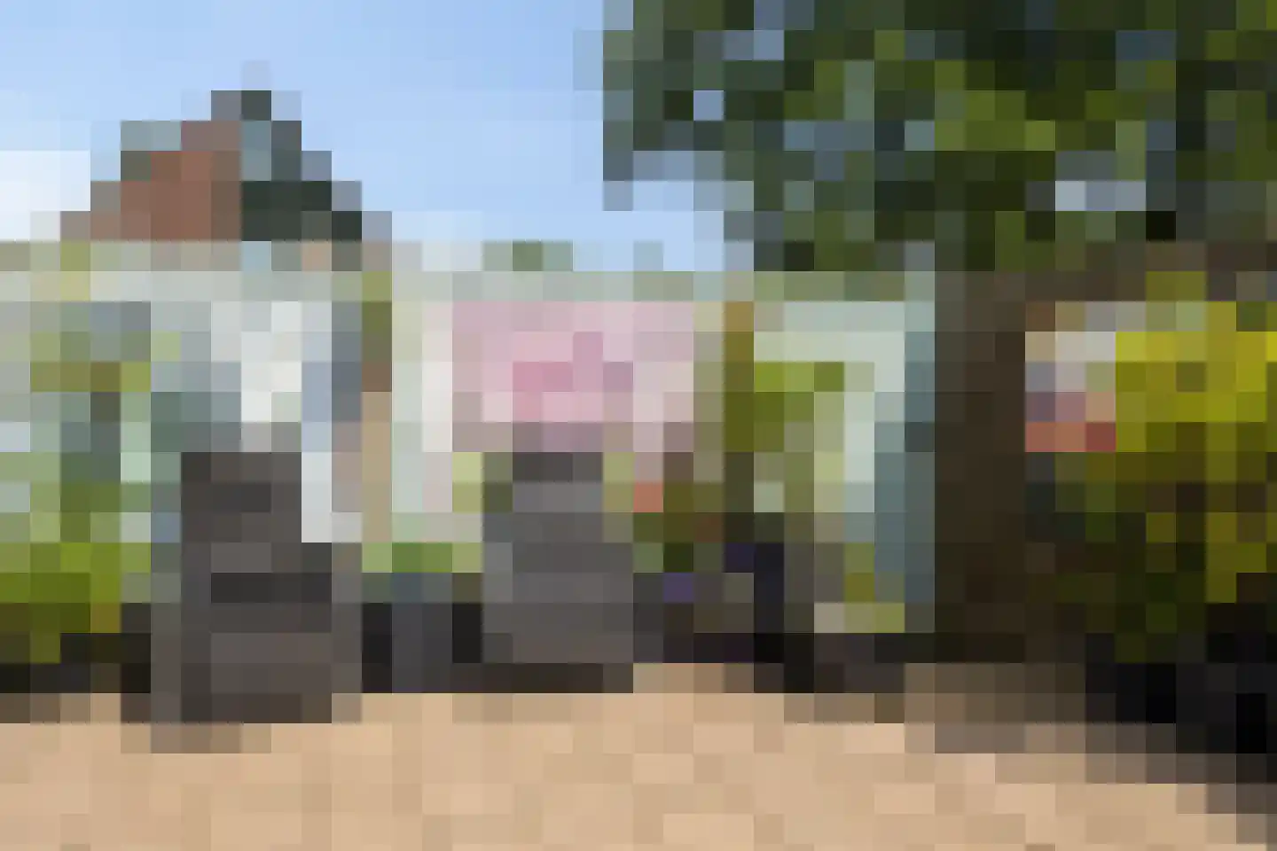 Pinksterbloem 96 Roden thumbnail 53