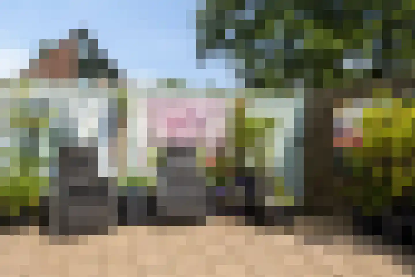Pinksterbloem 96 Roden thumbnail 53