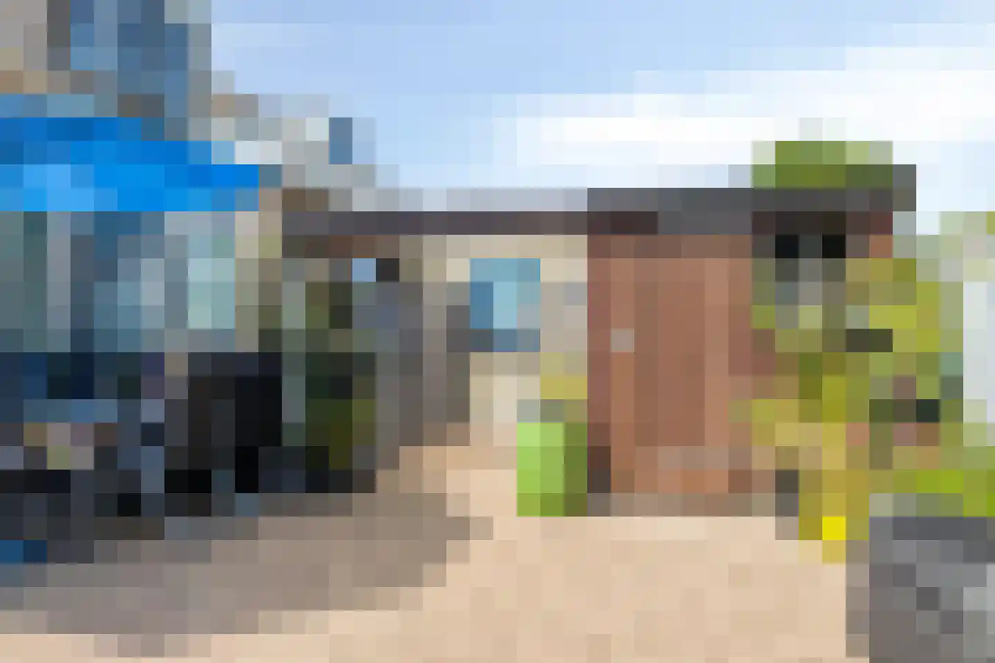 Pinksterbloem 96 Roden thumbnail 55