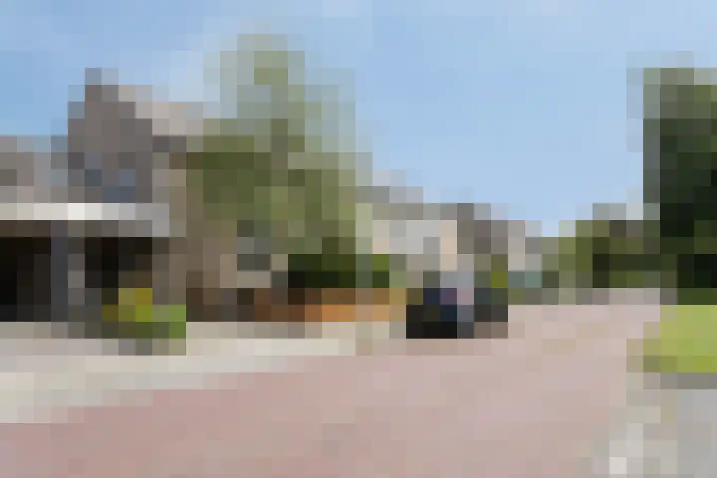 Pinksterbloem 96 Roden thumbnail 6