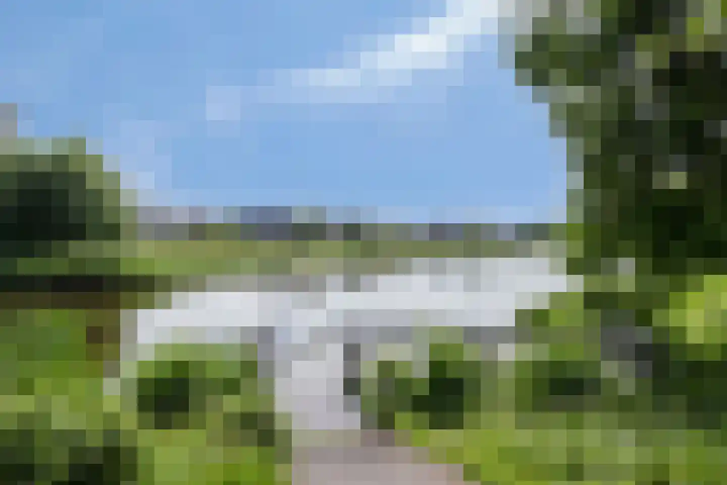 Pinksterbloem 96 Roden thumbnail 61