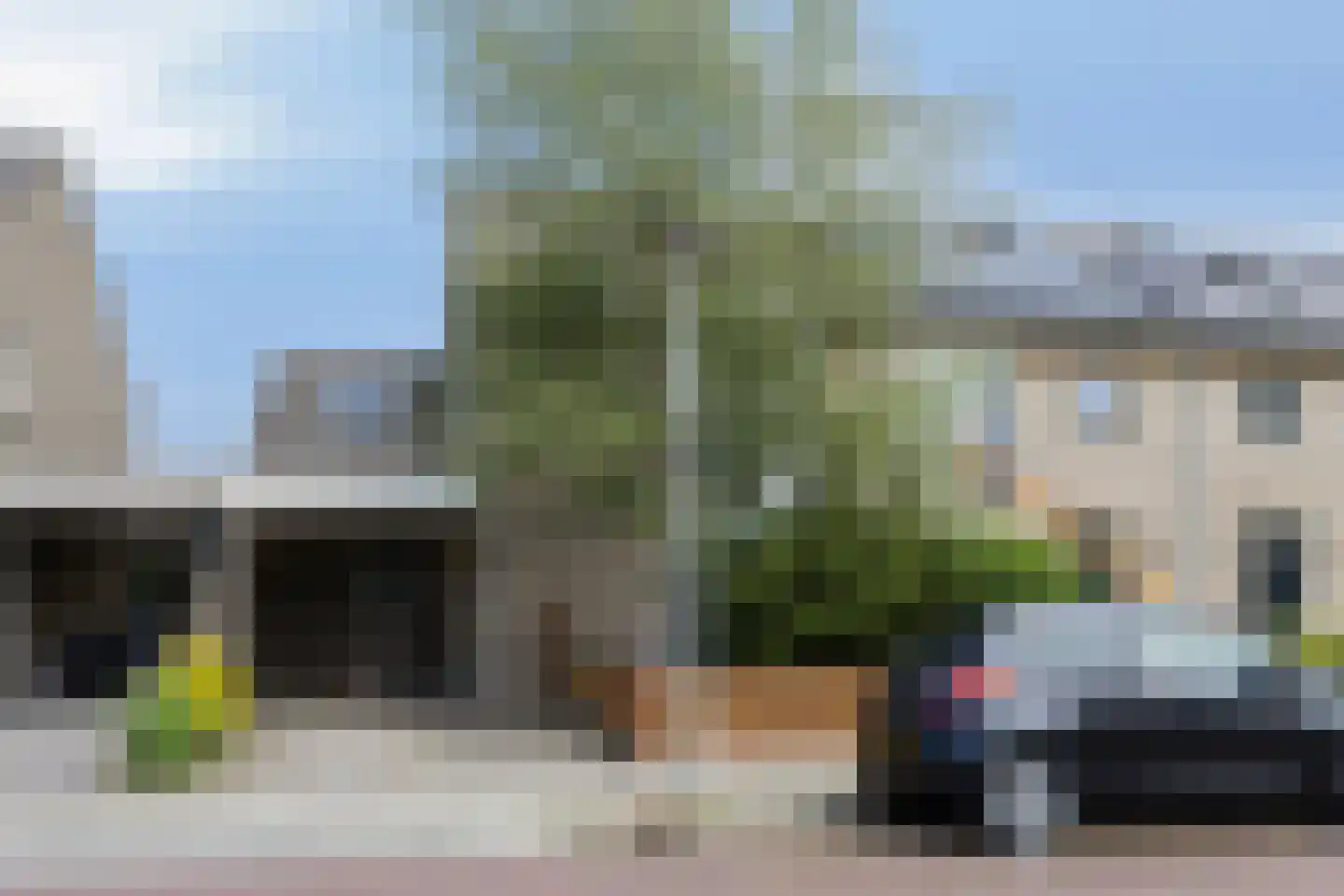 Pinksterbloem 96 Roden thumbnail 7