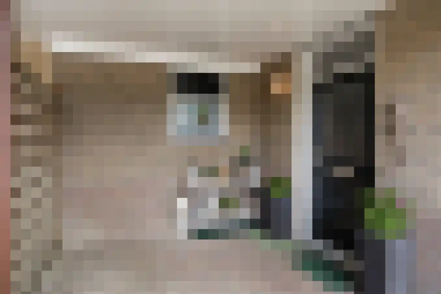 Pinksterbloem 96 Roden thumbnail 8