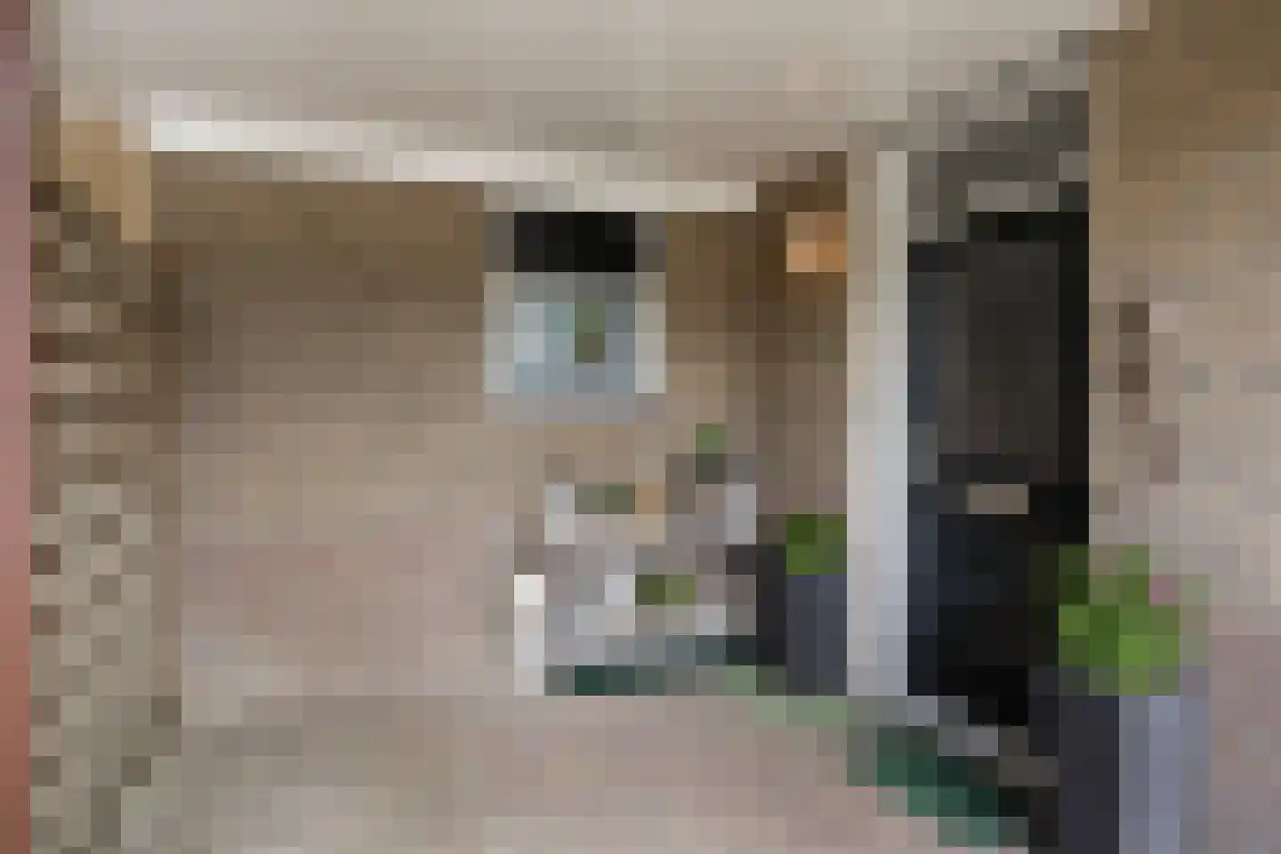 Pinksterbloem 96 Roden thumbnail 8