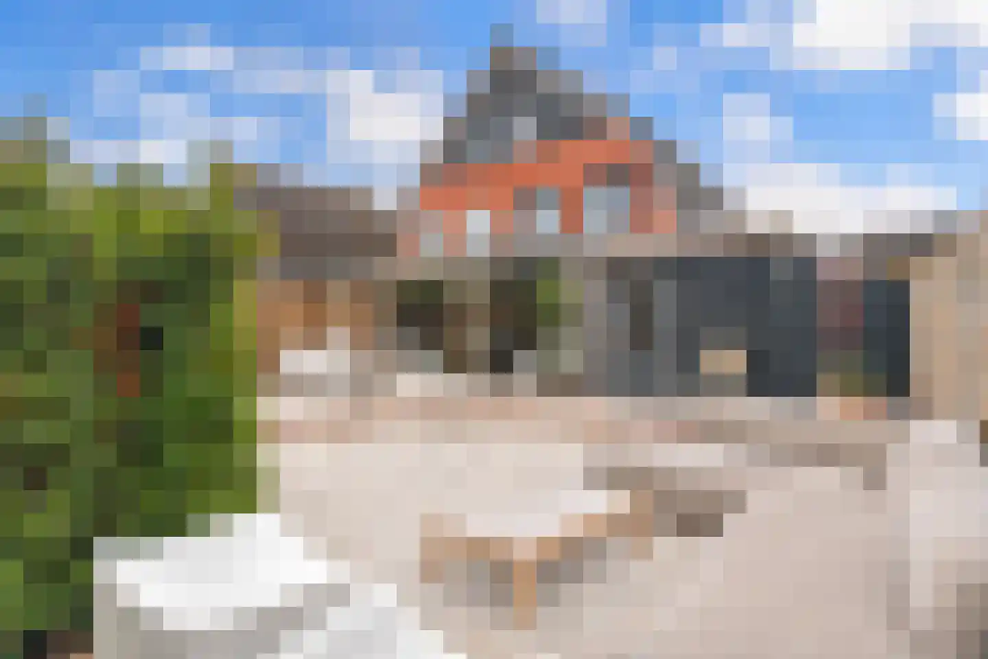 Pinksterbloem erf 10 Heerhugowaard thumbnail 49