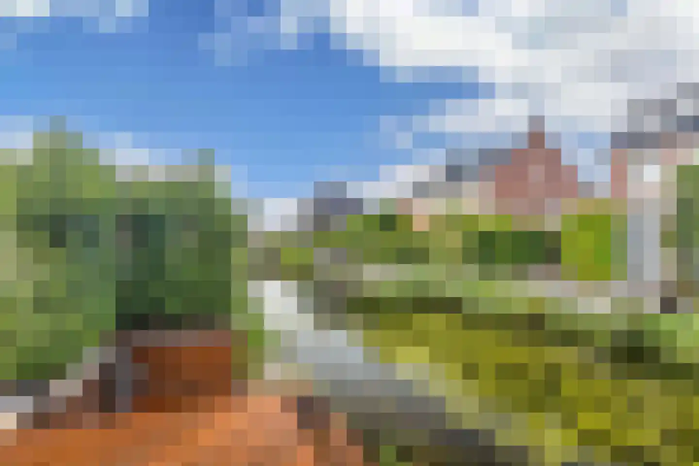 Pinksterbloem erf 10 Heerhugowaard thumbnail 52