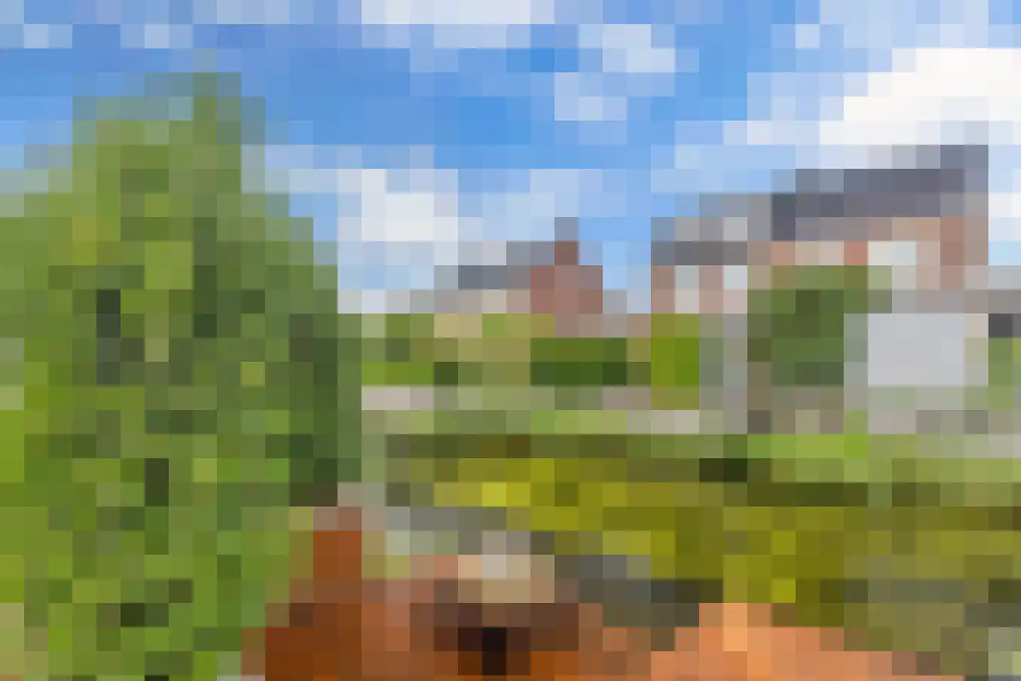 Pinksterbloem erf 10 Heerhugowaard thumbnail 53