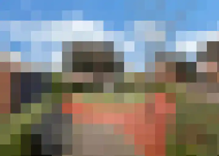 Pinksterbloem erf 11 Heerhugowaard thumbnail 39