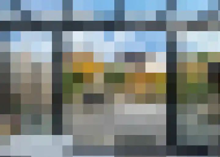 Pinksterbloem erf 11 Heerhugowaard thumbnail 4