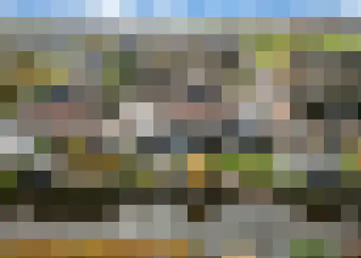 Pinksterbloem erf 11 Heerhugowaard thumbnail 46