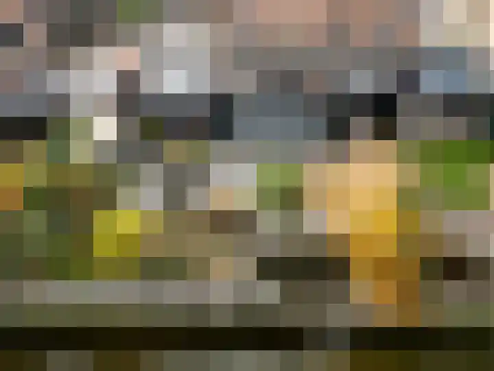 Pinksterbloem erf 11 Heerhugowaard thumbnail 47