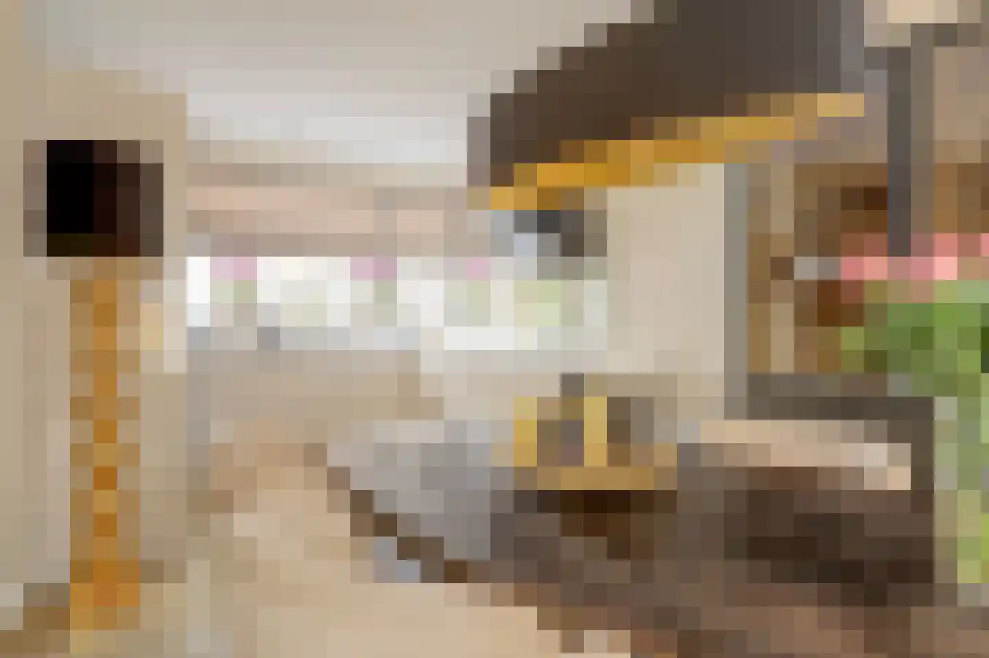 Pinksterbloem erf 16 Heerhugowaard thumbnail 17