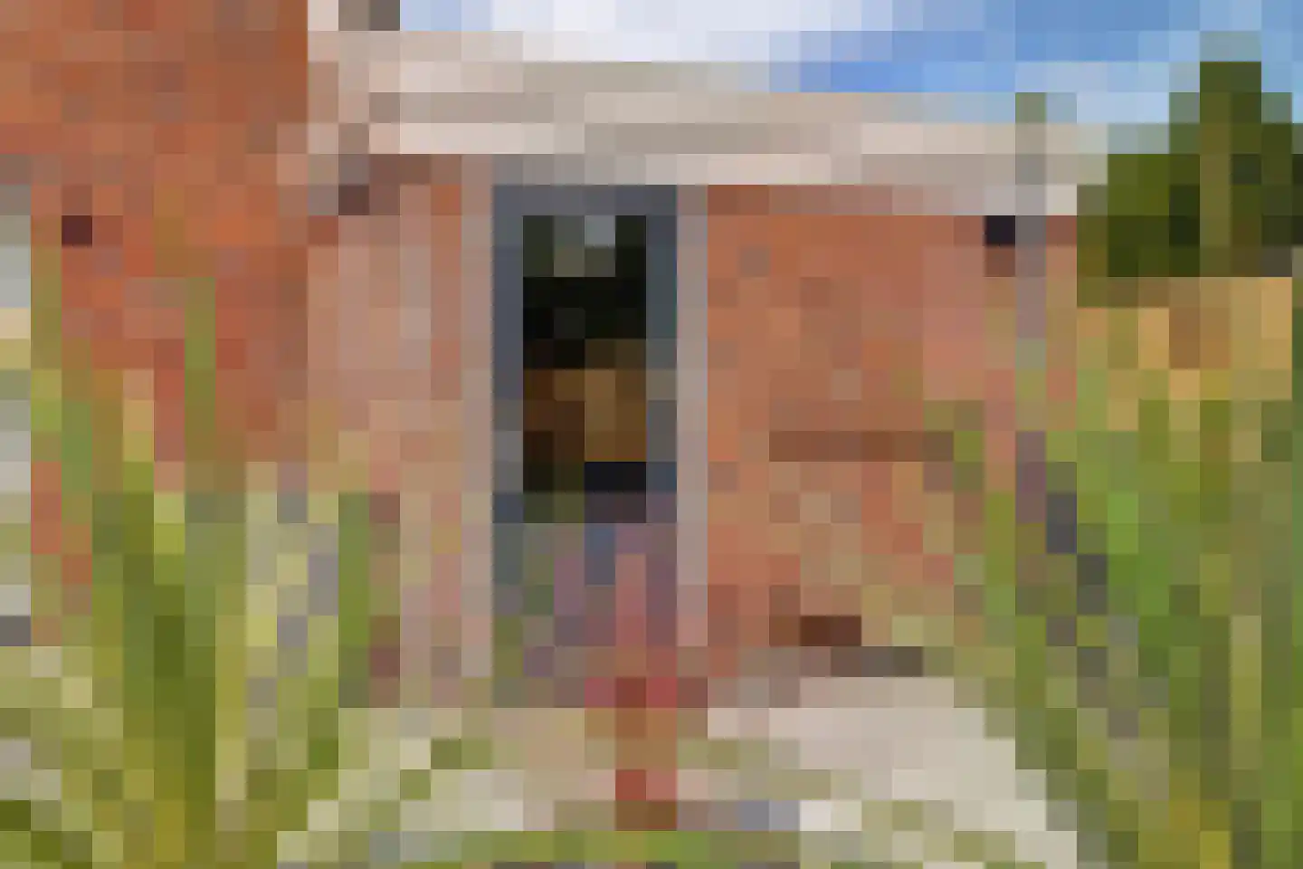 Pinksterbloem erf 16 Heerhugowaard thumbnail 47