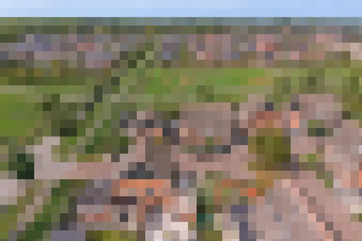 Pinksterbloem erf 16 Heerhugowaard thumbnail 53