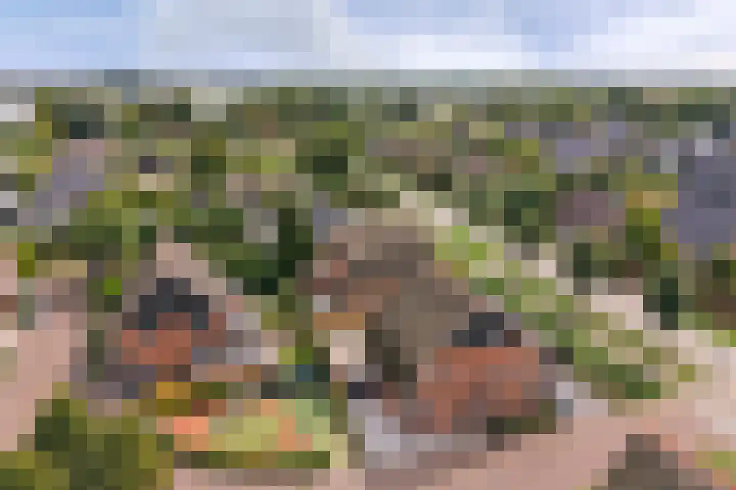 Pinksterbloem erf 16 Heerhugowaard thumbnail 58