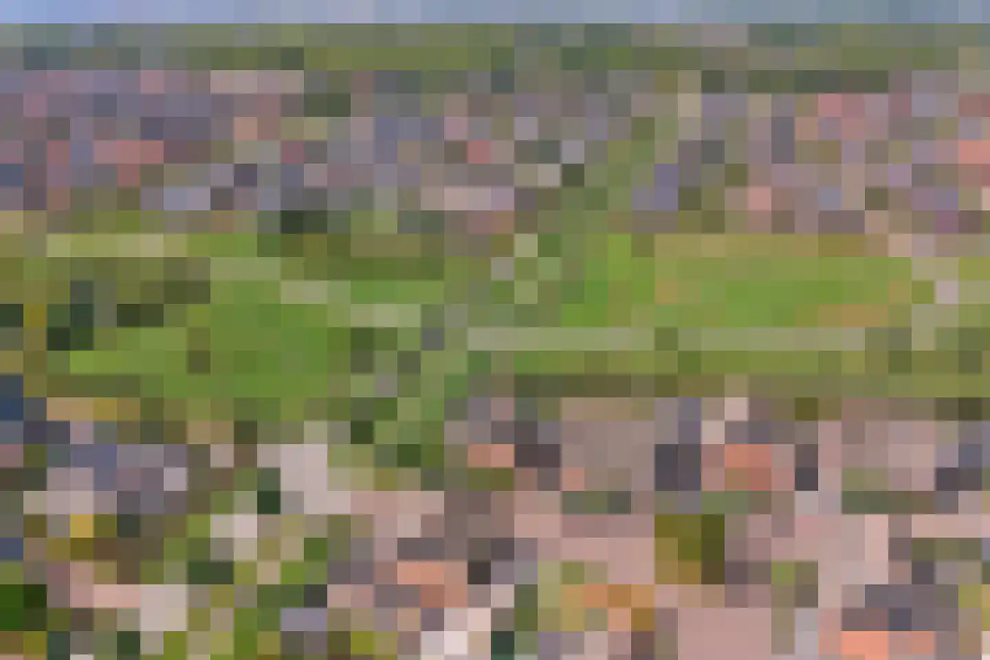 Pinksterbloem erf 16 Heerhugowaard thumbnail 59