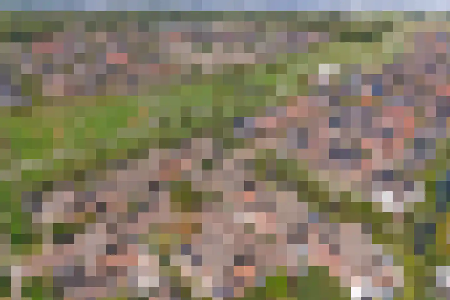 Pinksterbloem erf 16 Heerhugowaard thumbnail 60