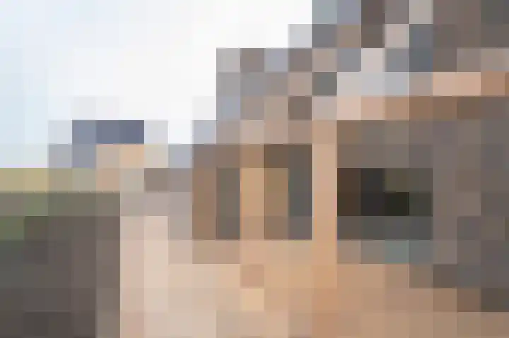 Pinksterbloemerf 28 Hoef en Haag thumbnail 27