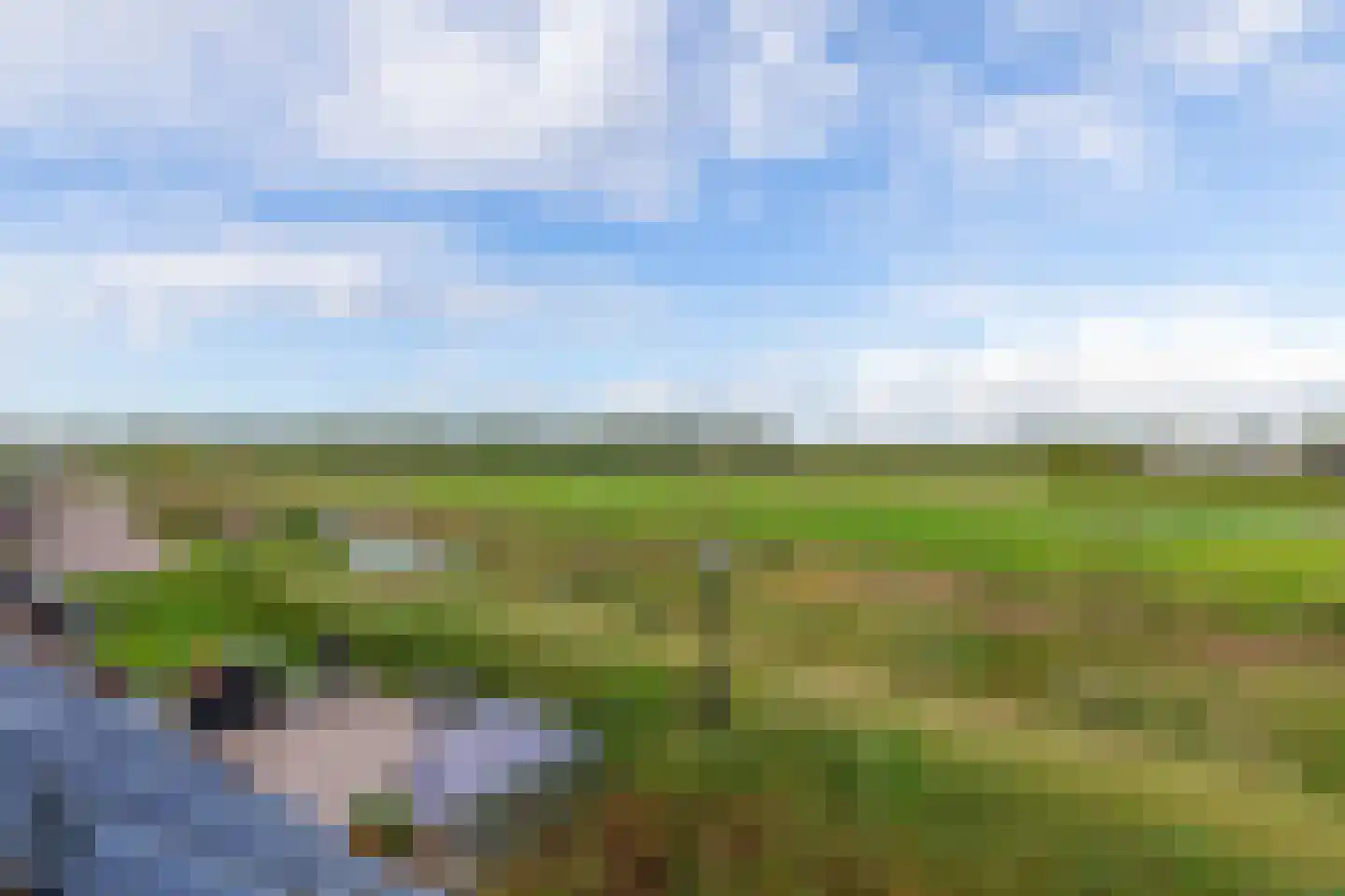 Pinksterbloemerf 28 Hoef en Haag thumbnail 5