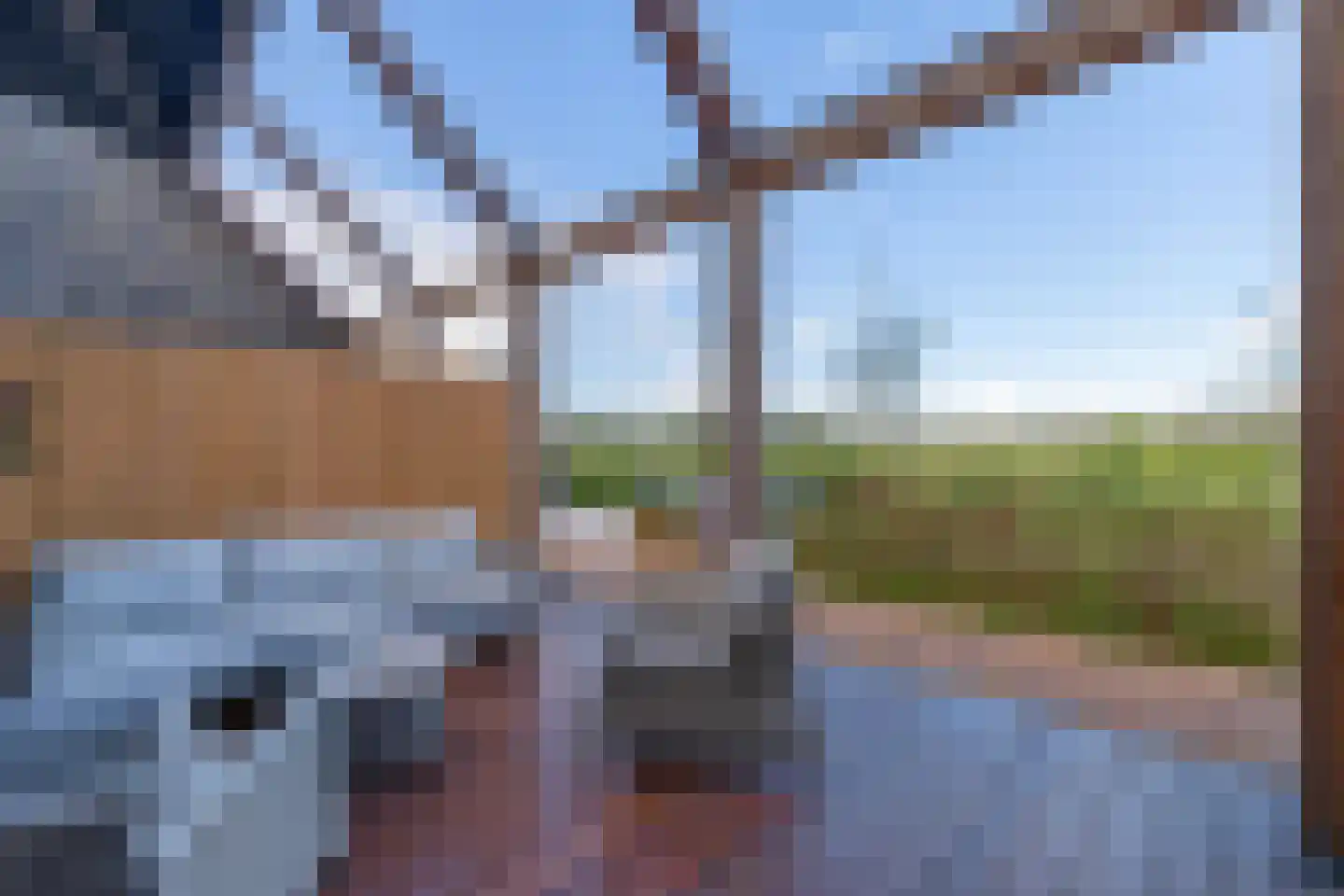 Pinksterbloemerf 28 Hoef en Haag thumbnail 7